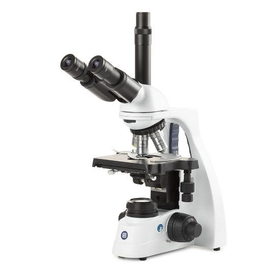 Picture of Euromex bScope® Compound Microscopes - EBS-1153-EPLI