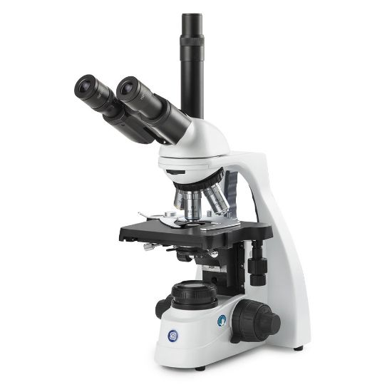 Picture of Euromex bScope® Compound Microscopes - EBS-1153-PLI