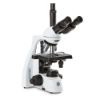 Picture of Euromex bScope® Compound Microscopes - EBS-1153-PLI