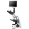 Picture of Euromex bScope® Compound Microscopes - EBS-1153-PLI-HDS