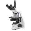Picture of Euromex bScope® Compound Microscopes - EBS-1153-PLPHI