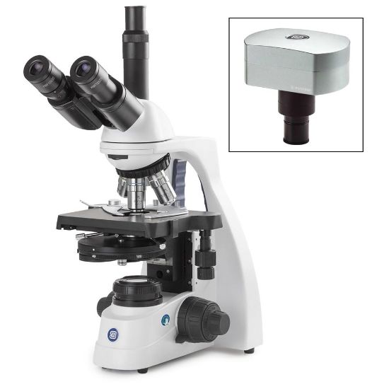 Picture of Euromex bScope® Compound Microscopes - EBS-1153-PLPHI-DC18