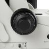 Picture of Euromex Delphi-X Observer Compound Microscope