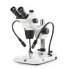 Picture of Euromex NexiusZoom EVO Stereo Microscopes