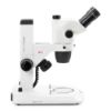Picture of Euromex NexiusZoom EVO Stereo Microscopes - ENZ-1703-S​