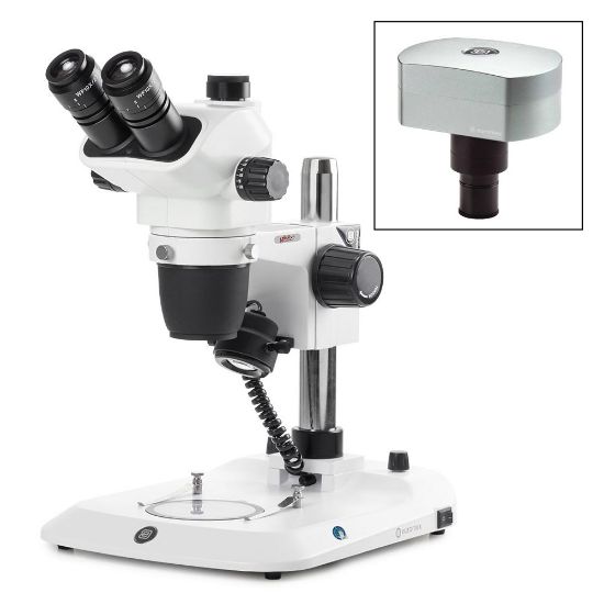 Picture of Euromex NexiusZoom EVO Stereo Microscopes - ENZ-1703-P​-DC18