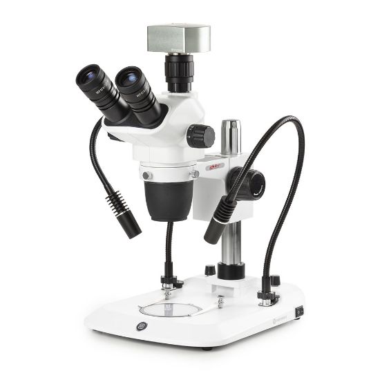 Picture of Euromex NexiusZoom EVO Stereo Microscopes - ENZ-1703-PG​-DC18