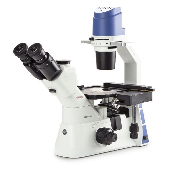 Picture of Euromex Oxion Inverso Inverted Microscope - EOX-2053-PLPH