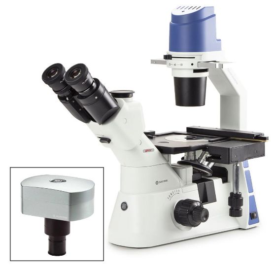 Picture of Euromex Oxion Inverso Inverted Microscope - EOX-2053-PLPH-DC18