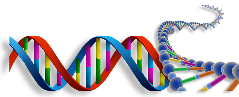 Picture for category PCR Testing