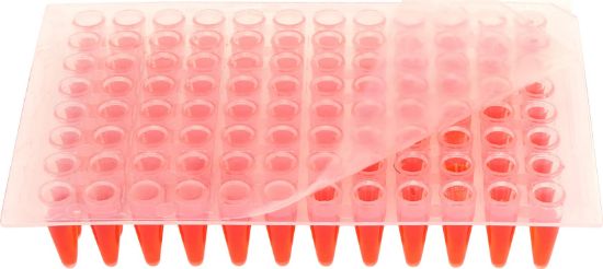 Picture of MTC Bio PureAmp™ Sealing Film - P1001-PCR	