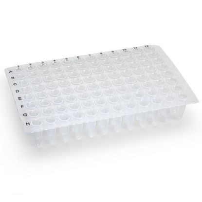 Picture of Globe Scientific PCR Plates