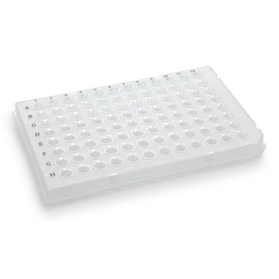 Picture of Globe Scientific® PCR Plates - PCR-HS-01