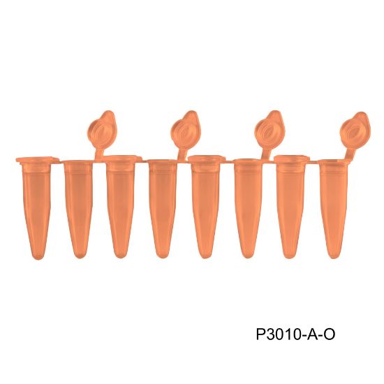 Picture of MTC Bio PureAmp™ PCR Tubes, Strips & Caps - P3010-A-O