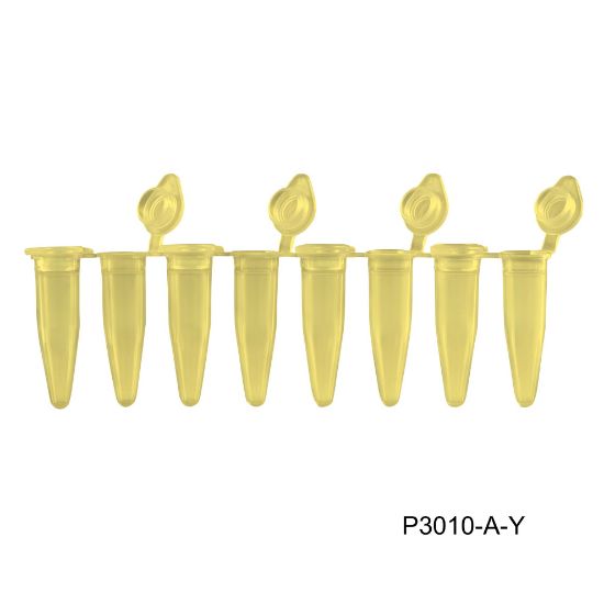 Picture of MTC Bio PureAmp™ PCR Tubes, Strips & Caps - P3010-A-Y