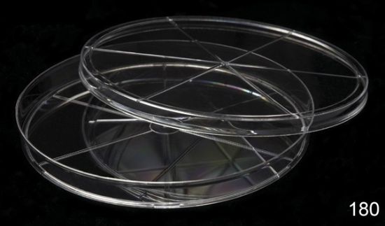 Picture of Phoenix 150 x 15 mm Sterile Semi-Stackable Petri Dishes