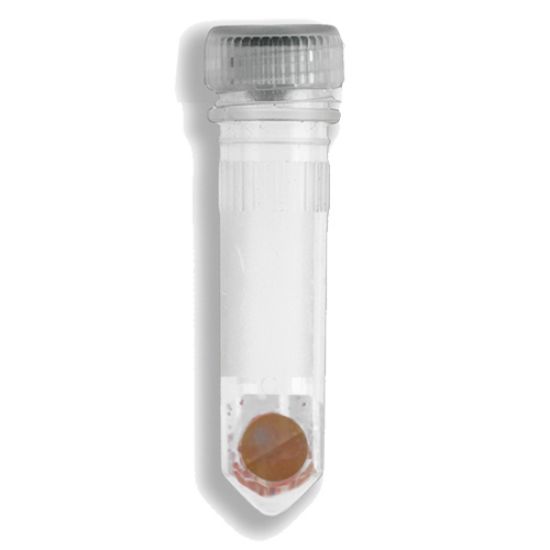 Picture of Benchmark Scientific Prefilled Homogenizer Tubes - D1033-30G